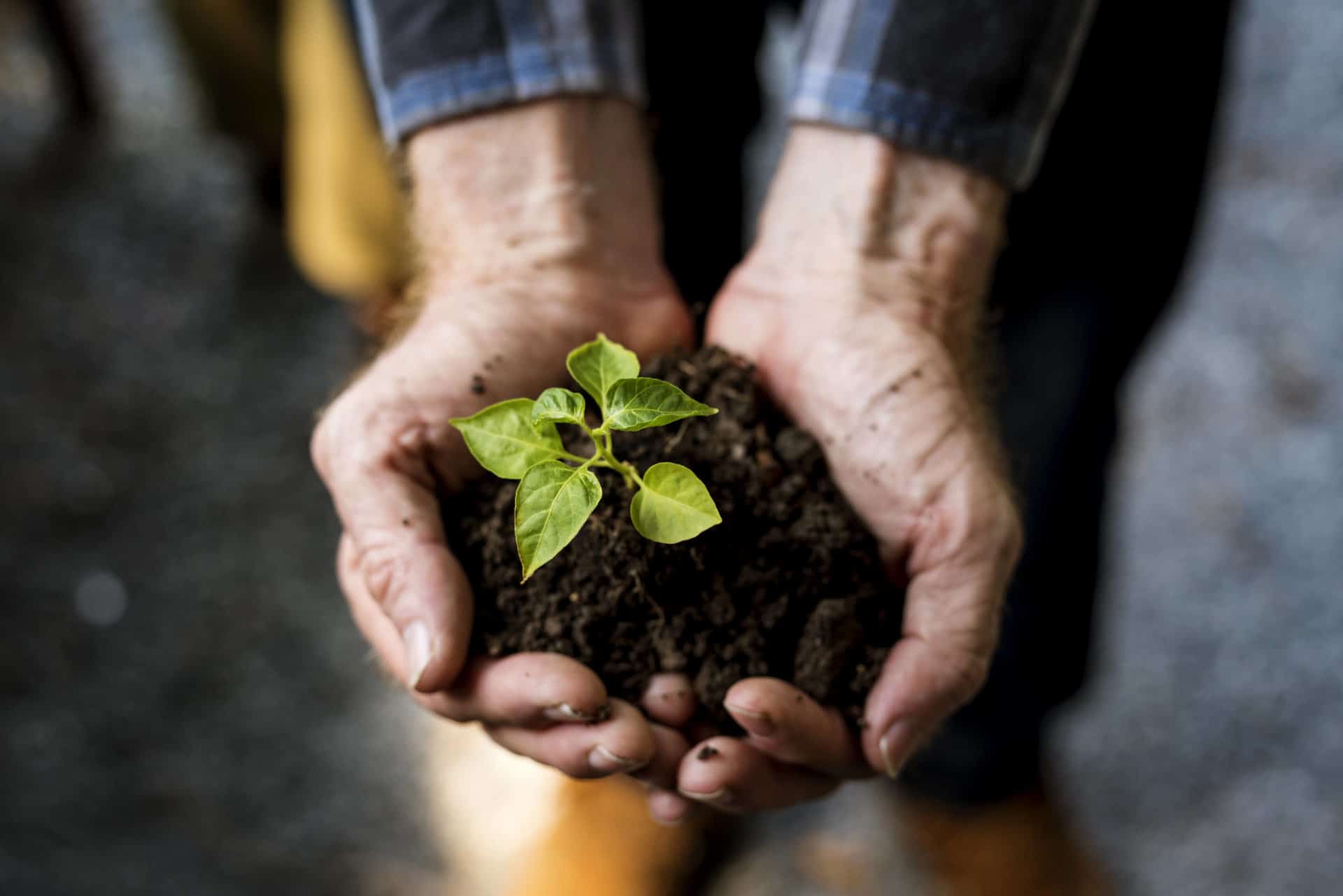 Som Kunde Hos LEA Får Du Erfarne Ejendomsadministratorer. Vi Har Skabt Et Sted, Hvor Både Medarbejdere Og Kunder Trives Og Kan Udvikle Sig Over Lang Tid. Både Fagligt Og Resultatmæssigt. Kom Forbi Og Mød Os - Så Giver Vi En Kop Kaffe.