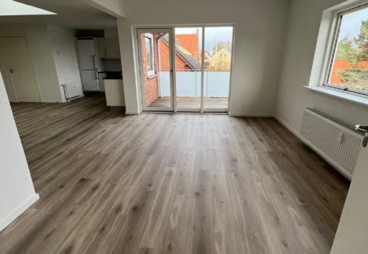 Skærmbillede 2025-03-10 133231